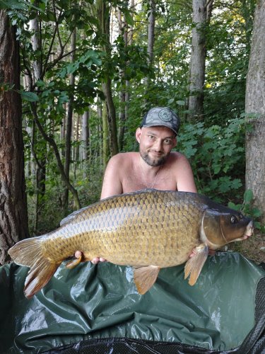 Boilies Pikantní perník