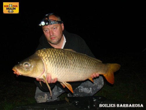 Boilies Barbarosa