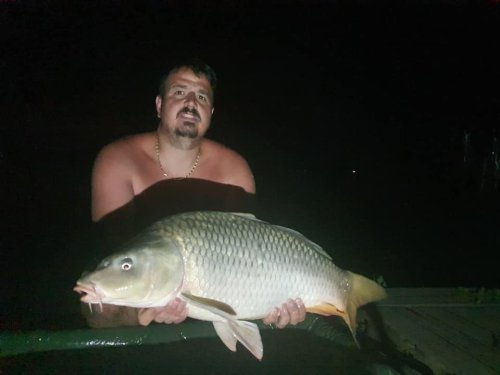 Boilies Frankfurtská klobása
