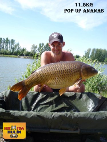 11,5kg, zig rig - pop up Ananas