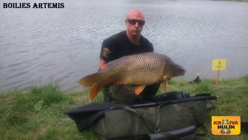 Boilies Artemis