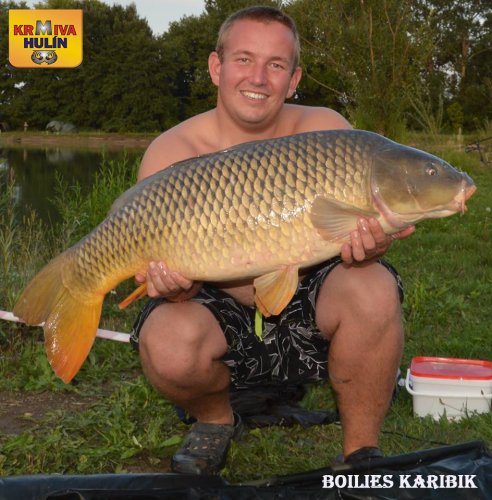 Boilies Karibik