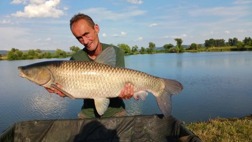 Boilies Pikantní krill