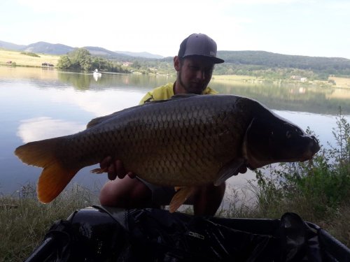 Boilies Krill/Oliheň