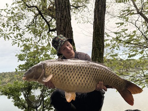 20+, boilies Pikantní krill