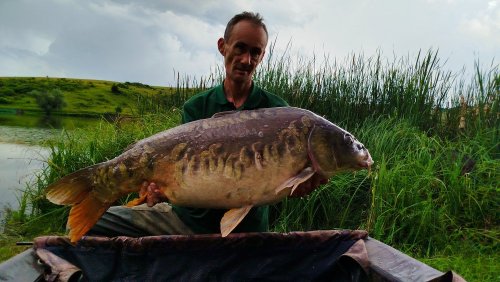Boilies Pikantní krill