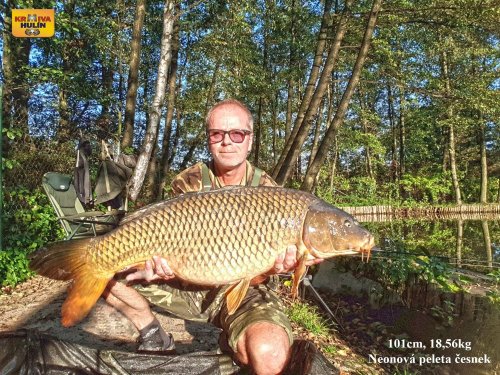 101cm, 18,56kg, peleta neon česnek