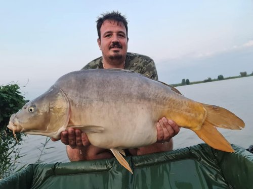 Boilies Frankfurtská klobása
