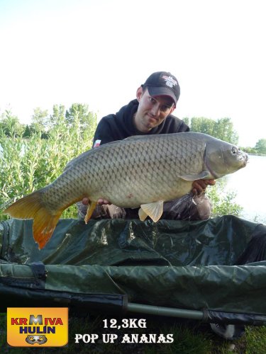 12,3kg, zig rig - pop up Ananas