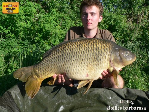 11,3kg, boilies barbarosa, svazová voda