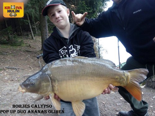 Boilies Calypso, pop up Ananas/Oliheň