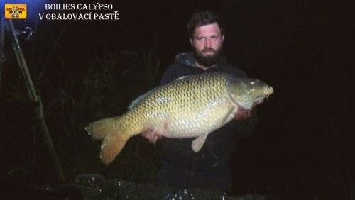 Boilies calypso v obalovacím těstě