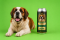 Pivo Regent - BERNARDÍN - Zberateľská edícia Psie ríše - 0,5 l (BOHEMIA REGENT, PRB) | Krmiva Hulín