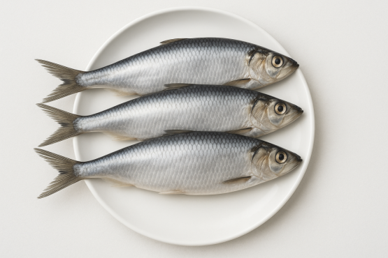 SLEĎ BALTSKÝ CELÝ MINI - Mražené nástražní ryby - 15 - 20 cm (SBCM-1) | Krmiva Hulín SLEĎ BALTSKÝ CELÝ MINI - Mražené nástražní ryby - 15 - 20 cm (SBCM-1) | Krmiva Hulín