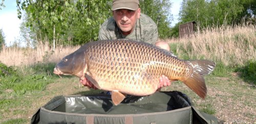 Boilies Calypso