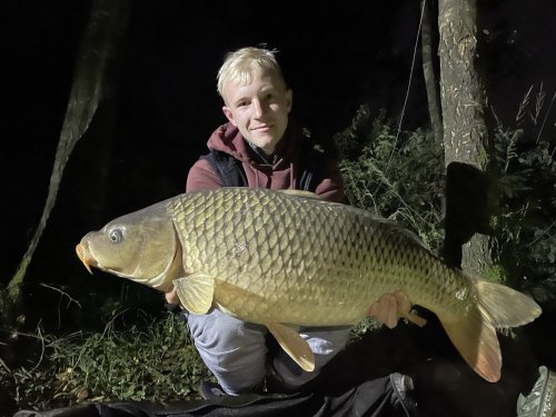 10,4kg, boilies Pikantní krill
