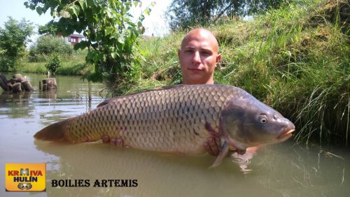 Boilies Artemis