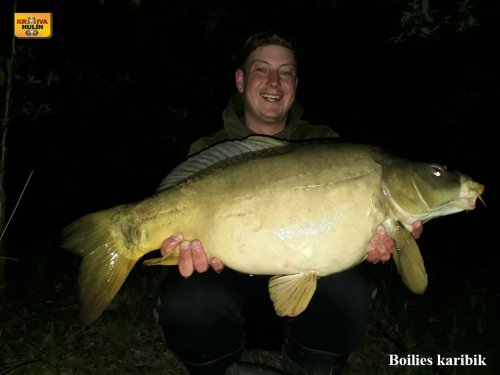 Boilies karibik