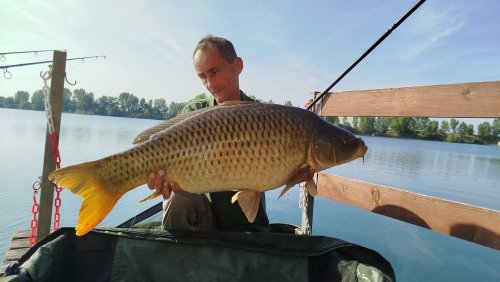 Boilies Pikantní perník