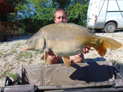Boilies Pikantní krill