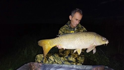 Boilies Pikantní perník