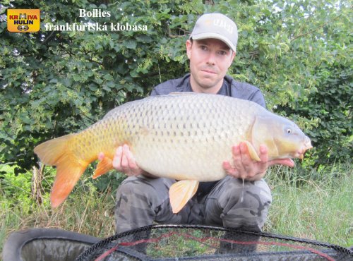 Boilies frankfurtská klobása