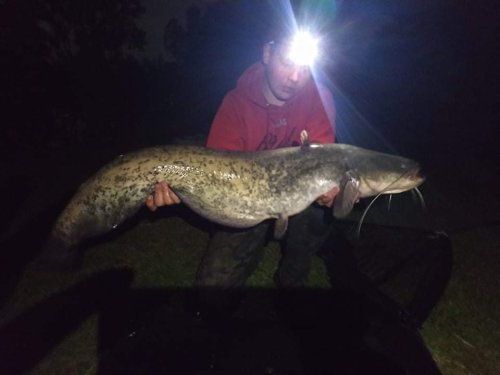 Boilies Pikantní jahoda