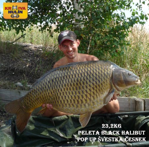 23,2kg, peleta Black halibut krev, pop up Švestka/Česnek