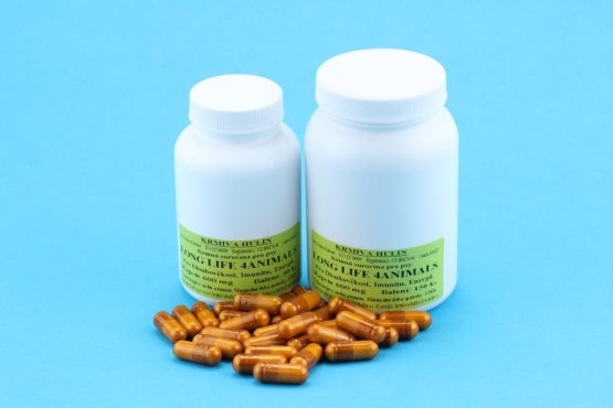 LONG LIFE 4ANIMALS - Pro Dlouhověkost, Imunitu, Energii - Kapsle 600 mg (Krmiva Hulín, LLK-1) | Krmiva Hulín