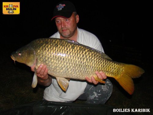 Boilies Karibik