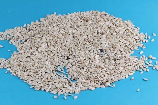 SLUNEČNICE BÍLÁ - pro ptactvo (SLB-1) | Krmiva Hulín