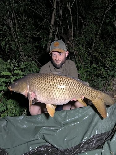 Boilies Pikantní perník