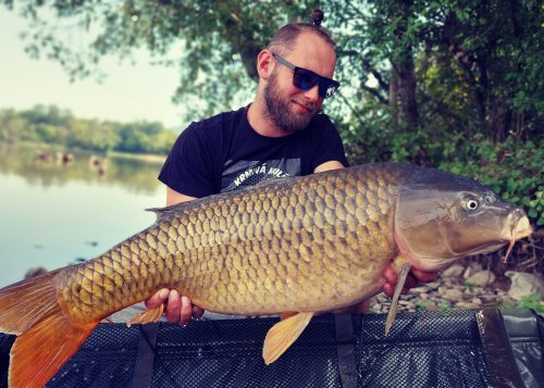 92cm, 14,8kg, zig rig pop up Ananas