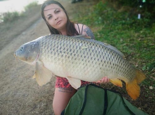 Boilies Krill a oliheň