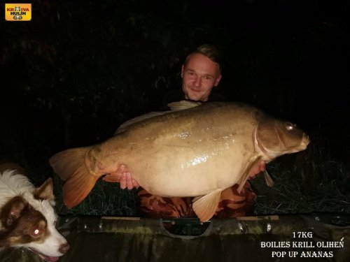 17kg, boilies krill/oliheň, pop up ananas, svazová voda
