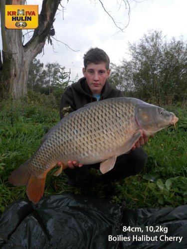 84cm, 10,2kg, boilies Halibut/Cherry, svazová voda