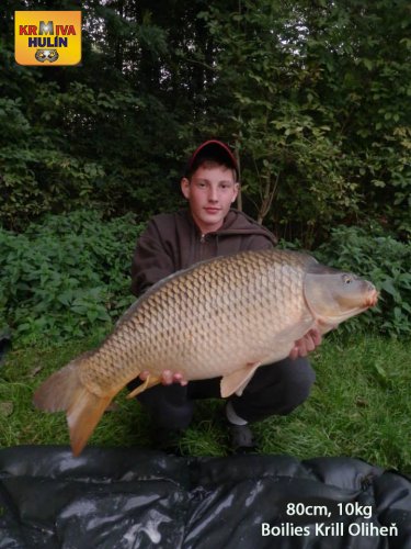 80cm, 10kg, boilies Krill/Oliheň, svazová voda