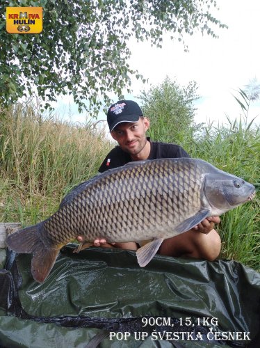 90cm, 15,1kg, zig rig - pop up švestka/česnek