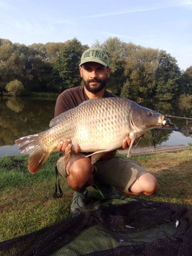 Boilies Pikantní jahoda