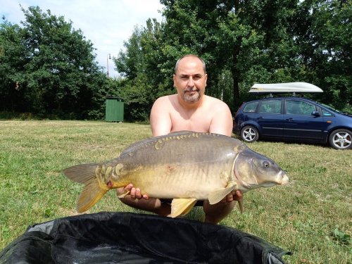 Játrové boilies