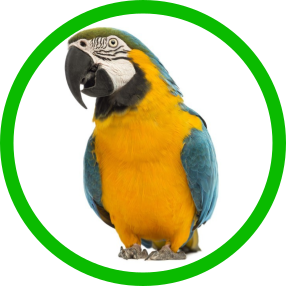 Exotické ptactvo - Vyberte balení - 20 kg