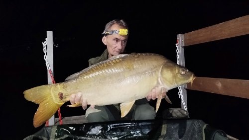 Boilies Pikantní perník