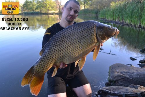 83cm, 10,5kg, boilies Belachan/Sýr