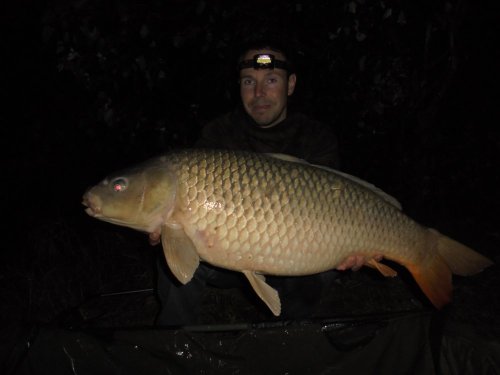 Boilies Calypso v obalovacím těstě Calypso