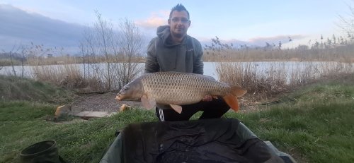Boilies Pikantní krill