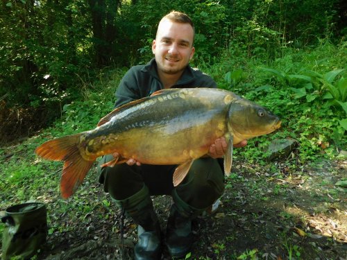 Boilies Krill/Oliheň