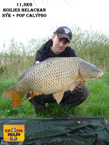 11,3kg, boilies Belachan/Sýr v dipu, pop up Calypso, svazová voda
