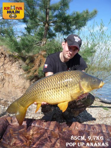 85cm, 9,7kg, zig rig - pop up Ananas