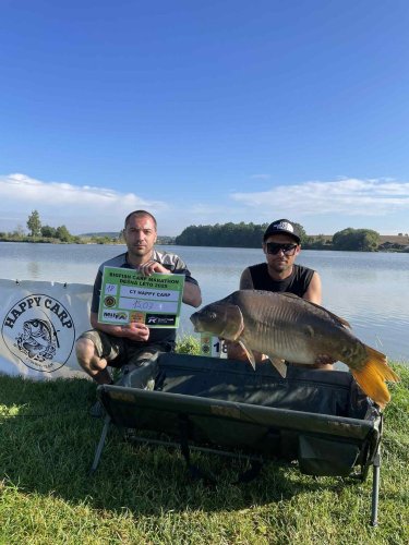 Boilies Calypso
