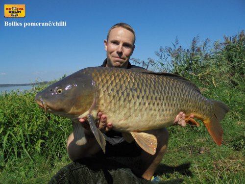 Boilies pomeranč/chilli, svazová voda